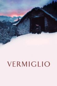 Vermiglio