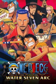 One Piece: Season 8